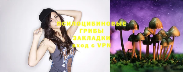 прущая мука Алзамай